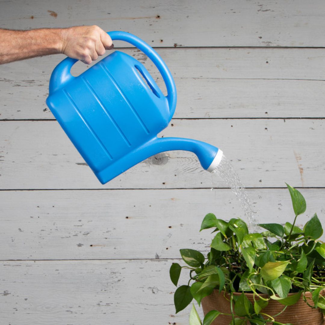 Deluxe Watering Can – Blue – 2 Gal
